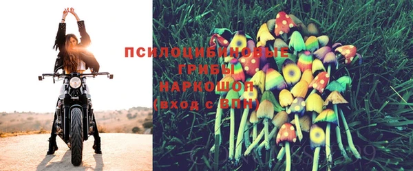 дурь Алзамай