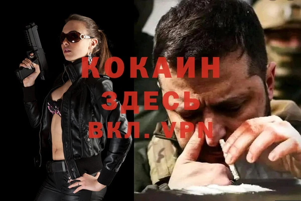 твердый Алексеевка