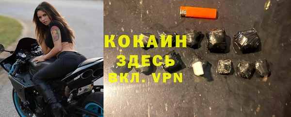твердый Алексеевка