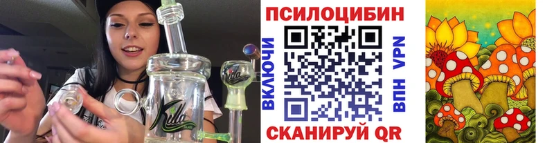 blacksprut сайт  как найти   Циолковский  Псилоцибиновые грибы Magic Shrooms 