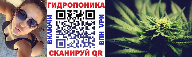 МАРИХУАНА сатива Циолковский